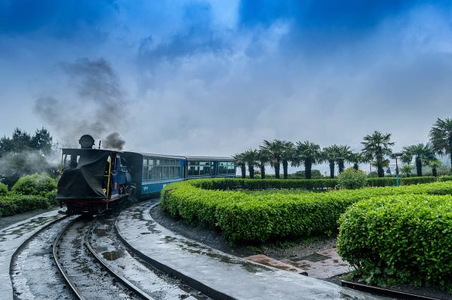toy train in Darjeeling